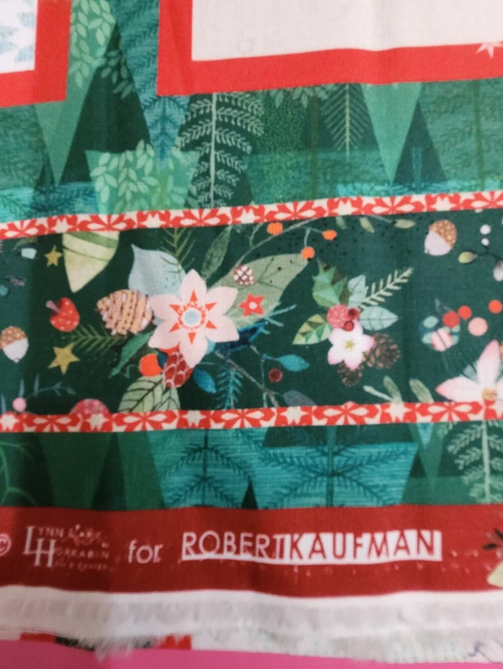 Robert Kaufman 